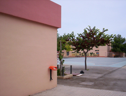 otra vista del patio